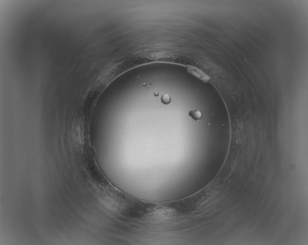 X0000061100210200511241625