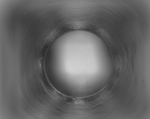 X0000061100214200511241625