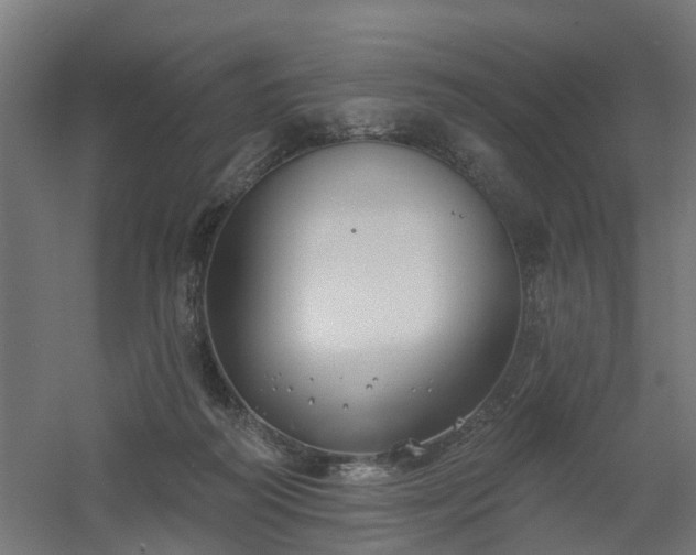 X0000061100218200511241625