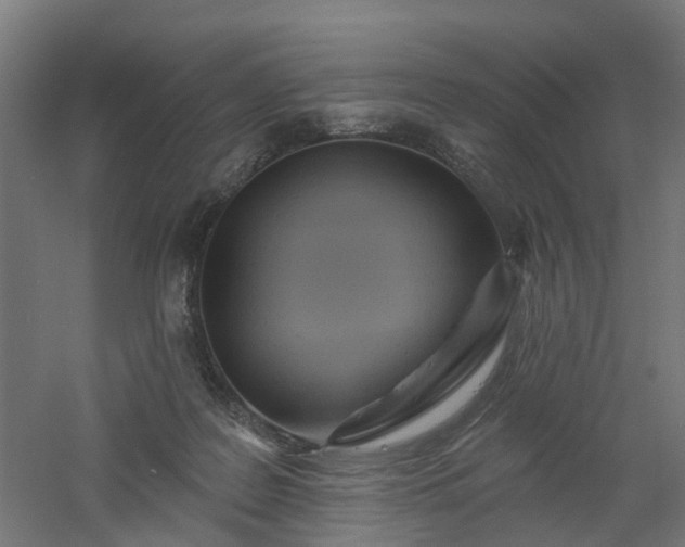 X0000061100219200511241625