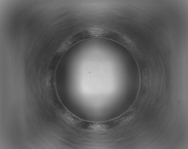 X0000061100221200511241625