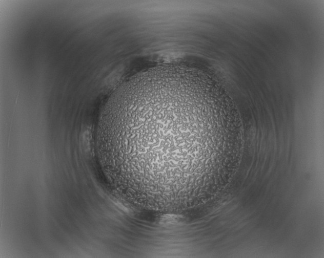 X0000061100222200511241625