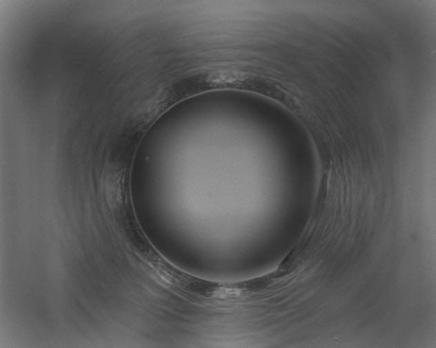 X0000061100227200511241625