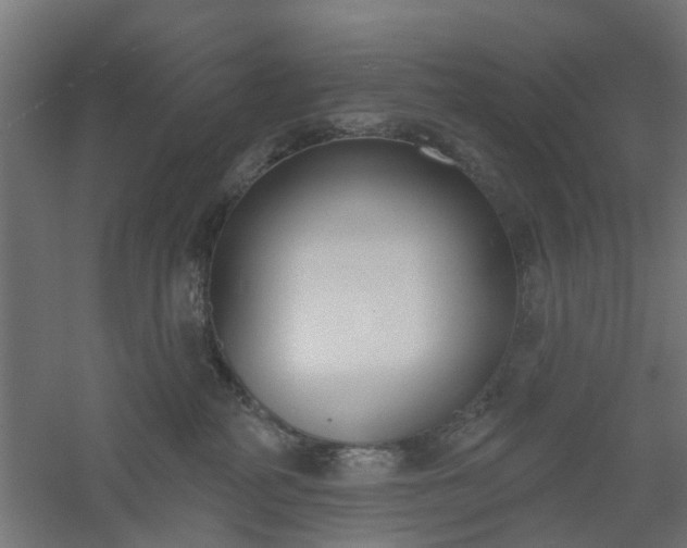 X0000061100234200511241624