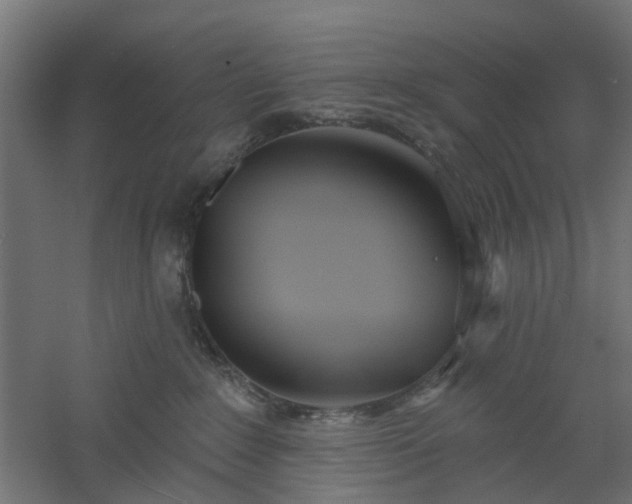 X0000061100235200511241624