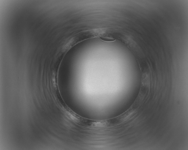 X0000061100238200511241624
