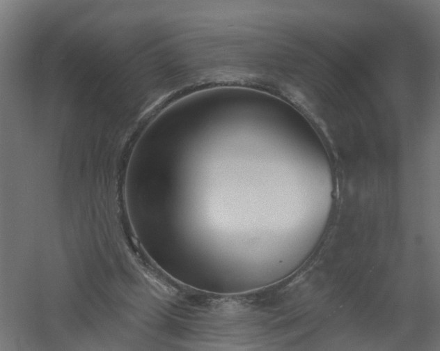 X0000061100249200511241624