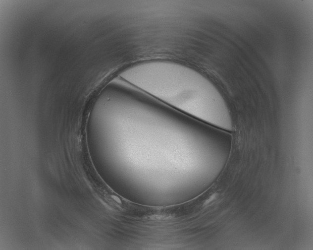 X0000061100251200511241624