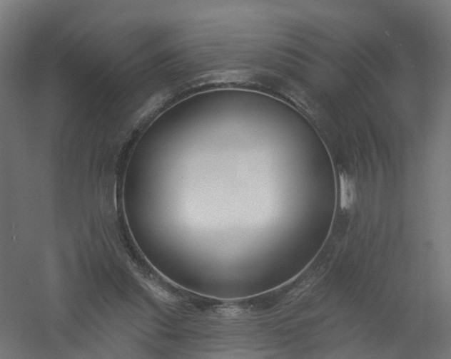 X0000061100253200511241624