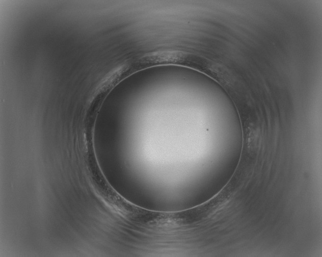 X0000061100254200511241624