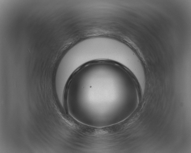 X0000061100257200511241624