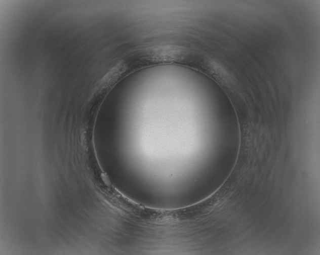 X0000061100258200511241624