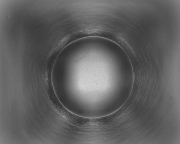 X0000061100260200511241624