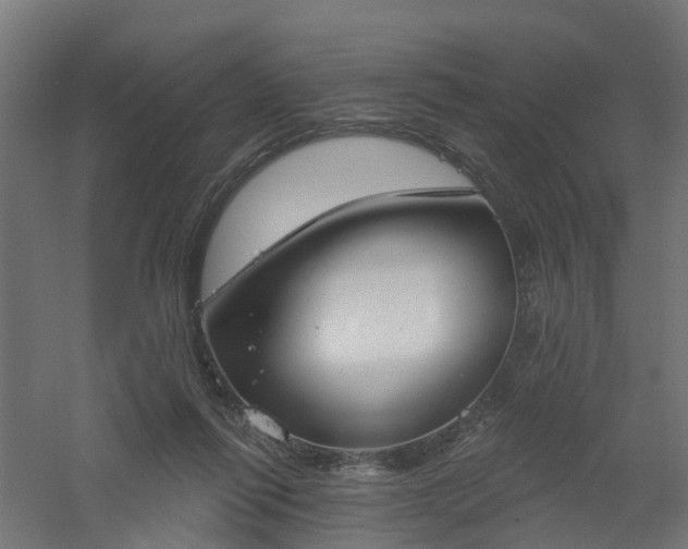 X0000061100262200511241624