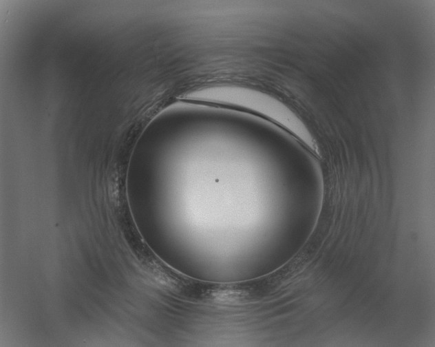 X0000061100268200511241624