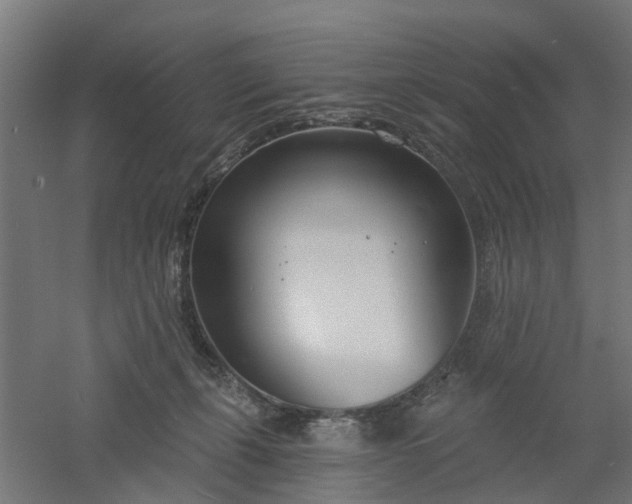 X0000061100271200511241624