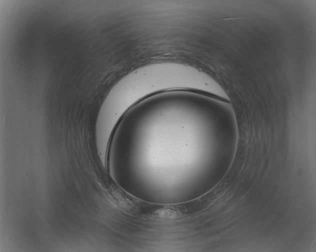 X0000061100272200511241624