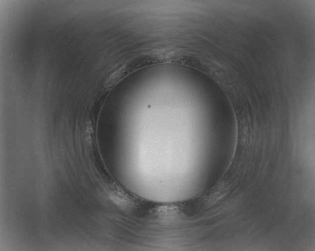 X0000061100279200511241624