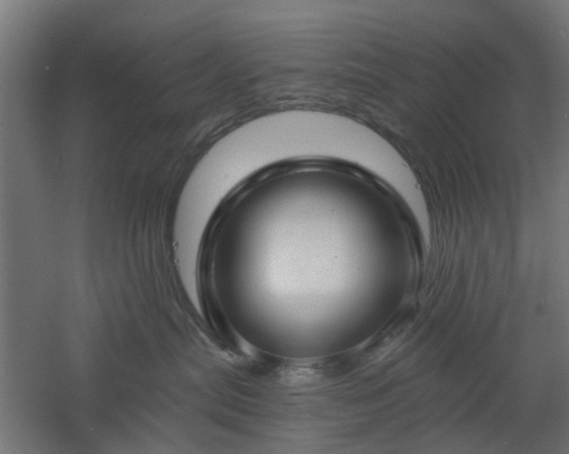 X0000061100287200511241624