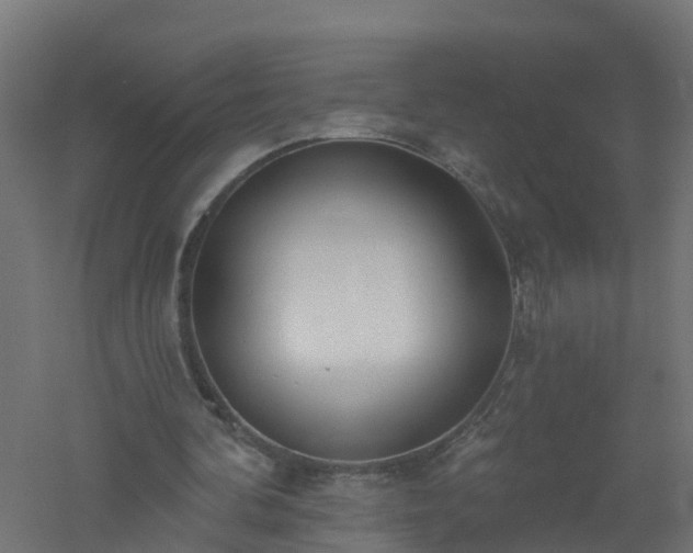 X0000061100292200511241623