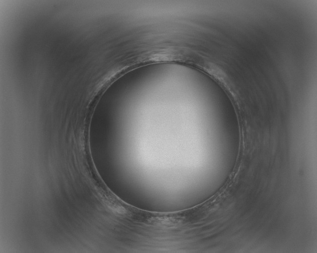 X0000061100297200511241623