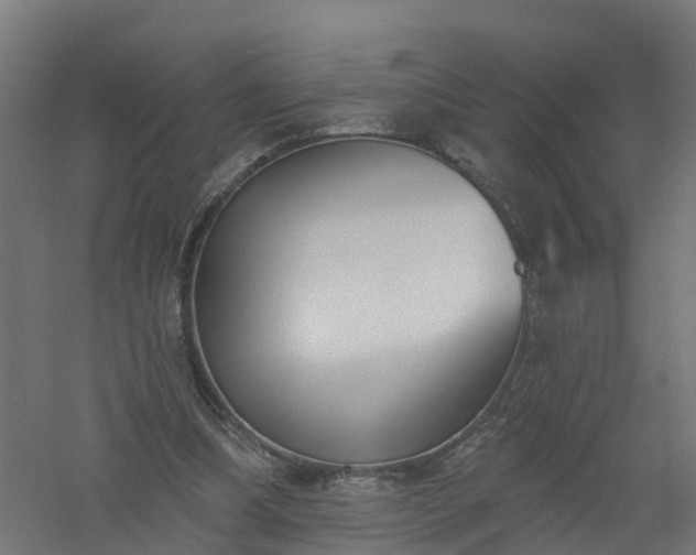 X0000061100298200511241623
