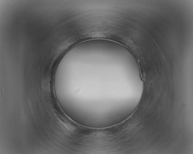 X0000061100299200511241623