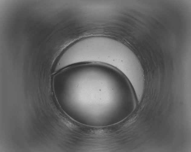 X0000061100301200511241623