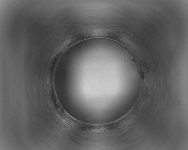 X0000061100306200511241623