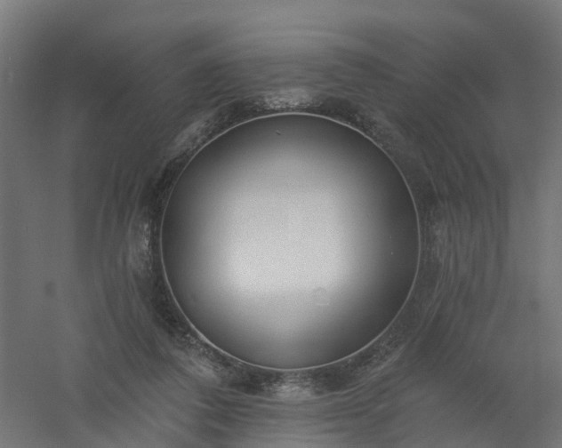 X0000061100308200511241623