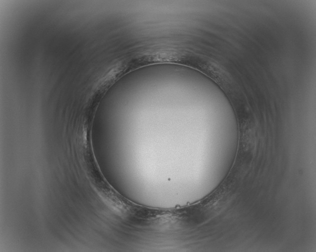 X0000061100310200511241623