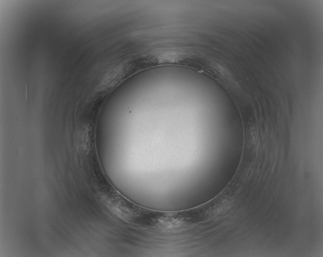 X0000061100311200511241623