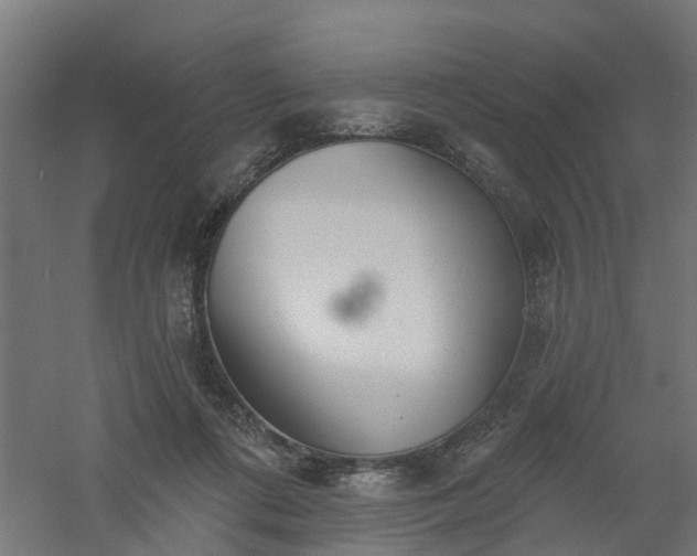 X0000061100312200511241623