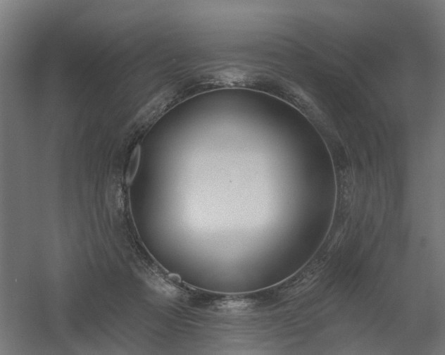 X0000061100313200511241623