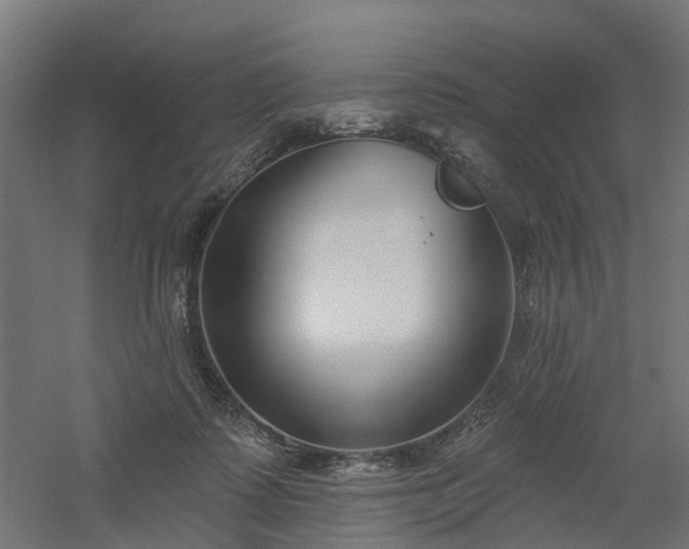 X0000061100315200511241623
