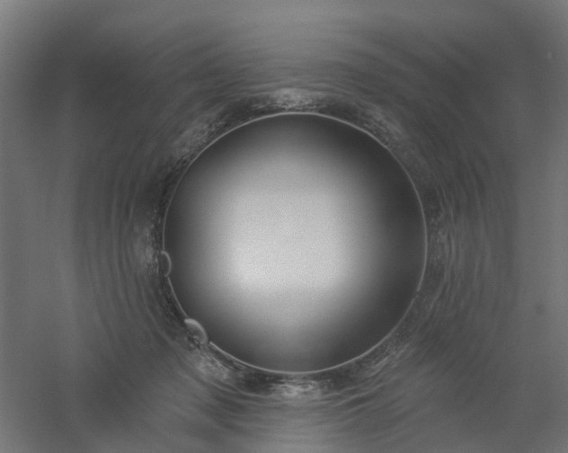 X0000061100317200511241623