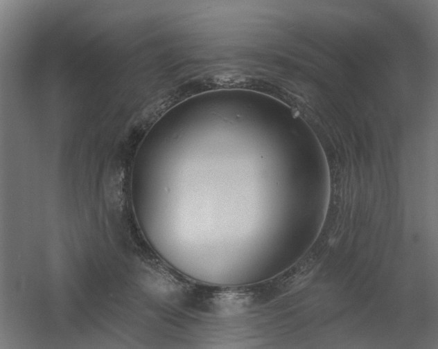 X0000061100319200511241623