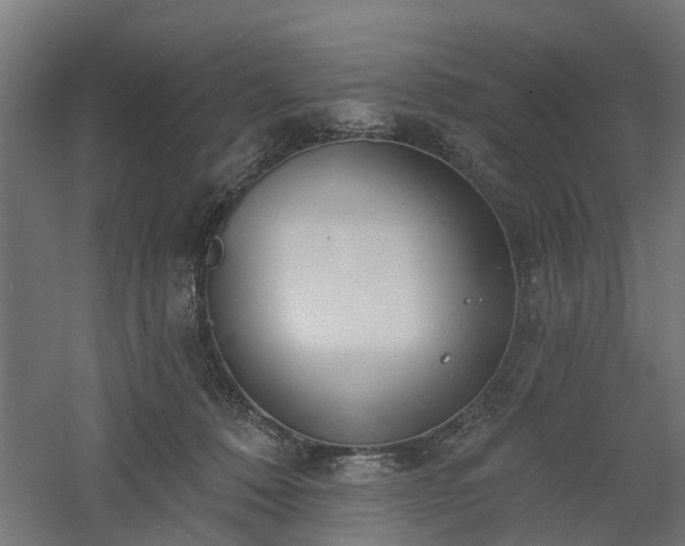 X0000061100320200511241623