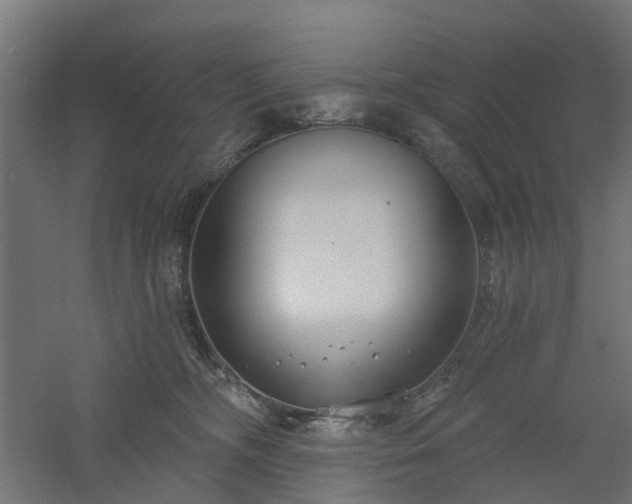 X0000061100326200511241623