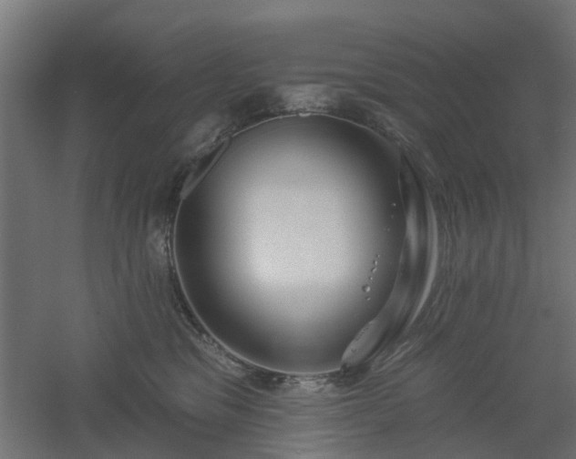 X0000061100329200511241623