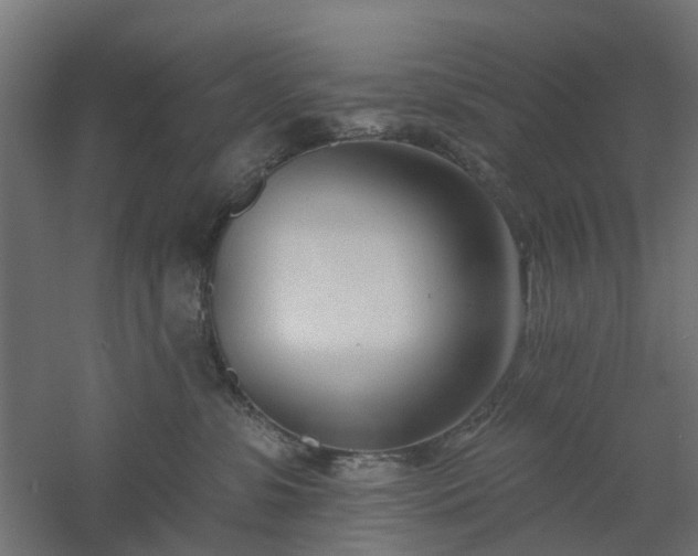 X0000061100331200511241623