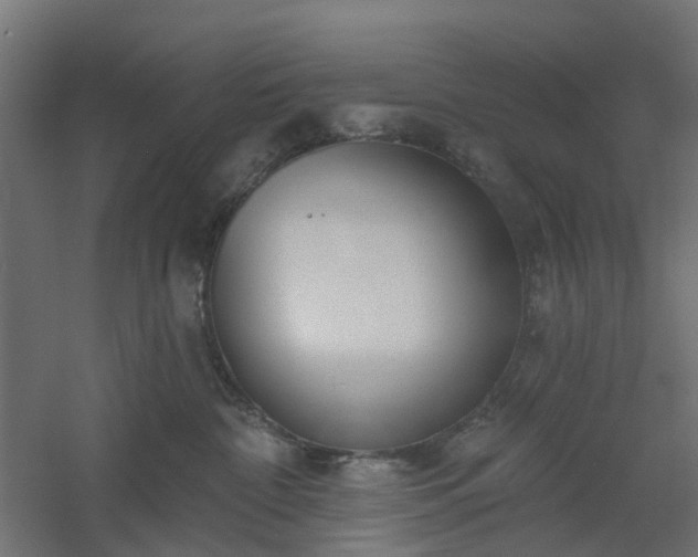 X0000061100332200511241623