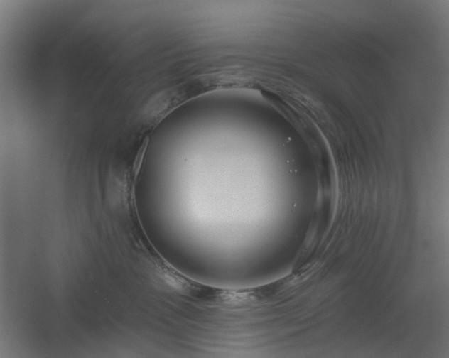 X0000061100333200511241623