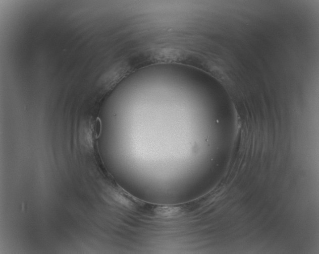 X0000061100334200511241623