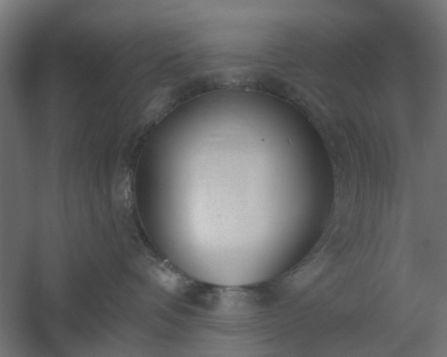 X0000061100336200511241623