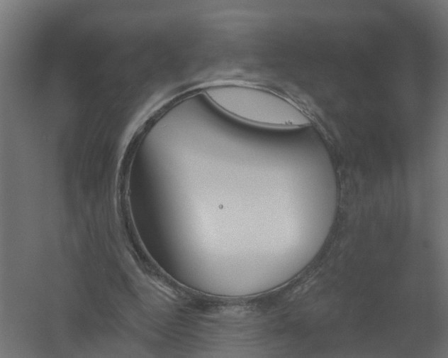 X0000061100344200511241622