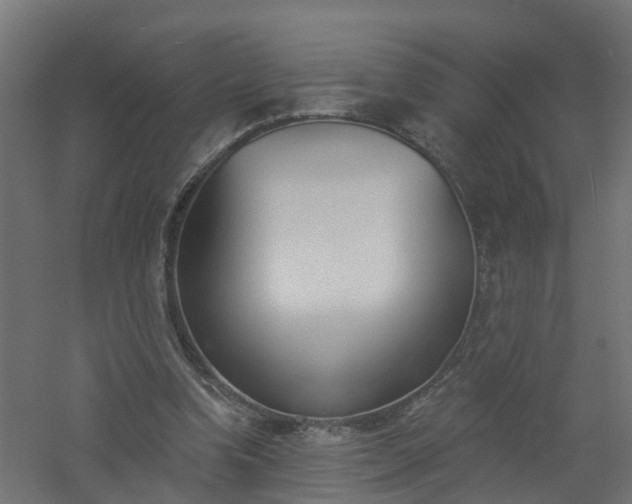 X0000061100346200511241622
