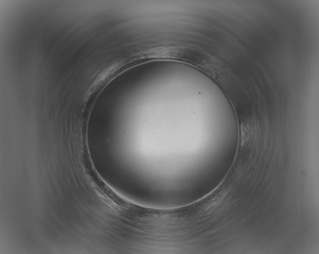 X0000061100349200511241622