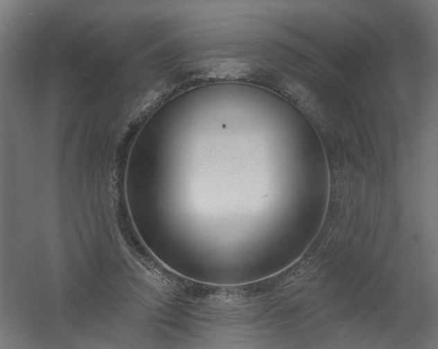 X0000061100354200511241622