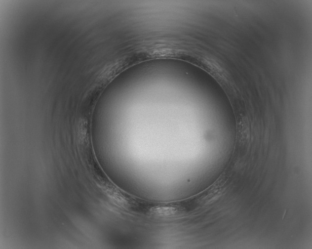 X0000061100361200511241622